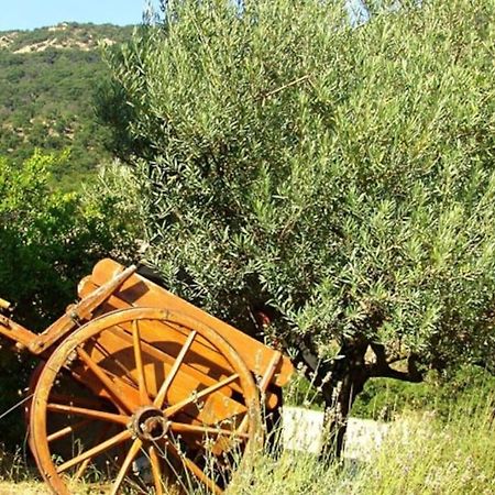 Superbe Appartement Neuf, Climatise Centre Village Le Plan-de-la-Tour Εξωτερικό φωτογραφία