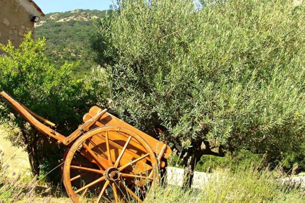 Superbe Appartement Neuf, Climatise Centre Village Le Plan-de-la-Tour Εξωτερικό φωτογραφία